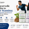 Best Ayurvedic Medicine for Stamina How Works