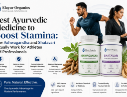 Best Ayurvedic Medicine for Stamina How Works